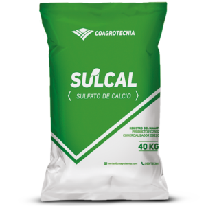 Home sulcal
